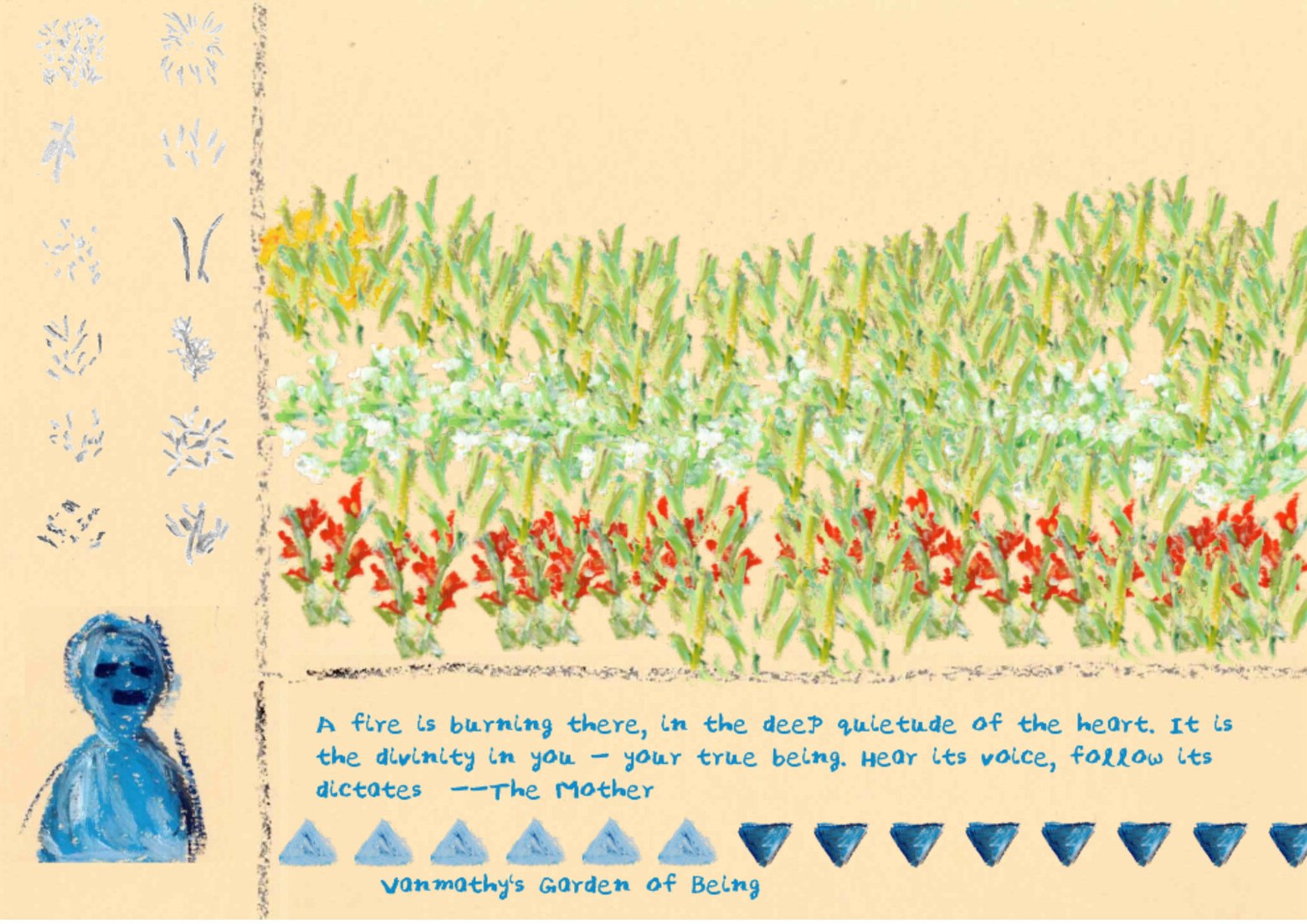 Rows of red, white and green flowers in full bloom